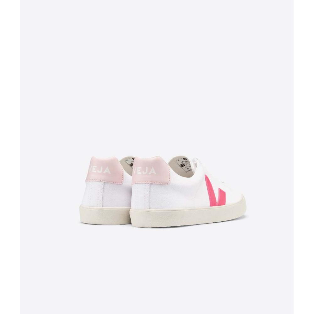 Veja ESPLAR SE CANVAS Tenisky Damske White/Pink | SK 608EBC